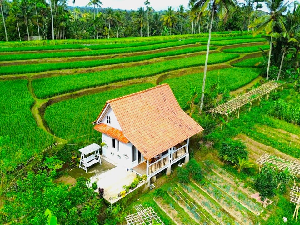 Pondok Is Oke villa surrounded by green rice terraces